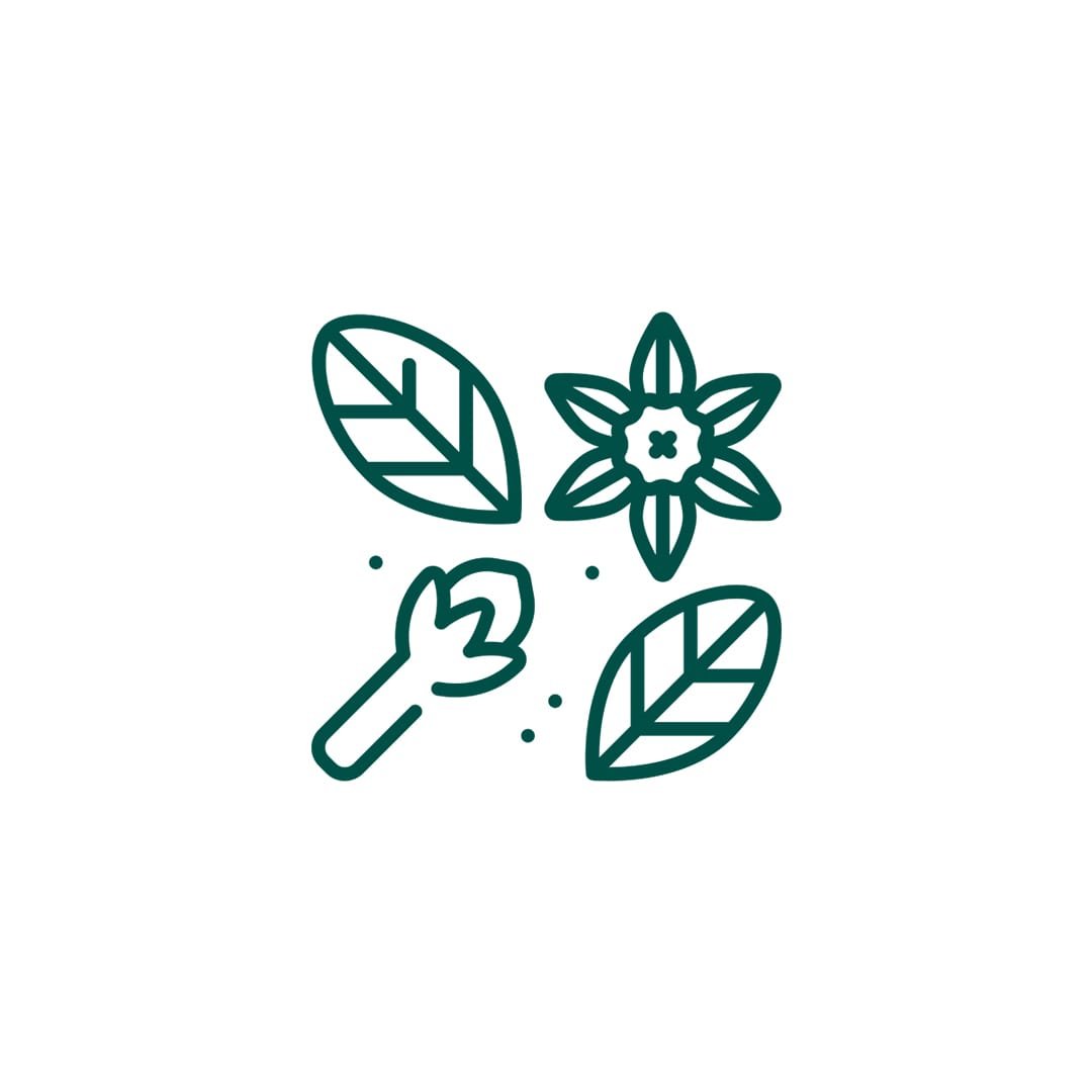 HERBS & DRINKS